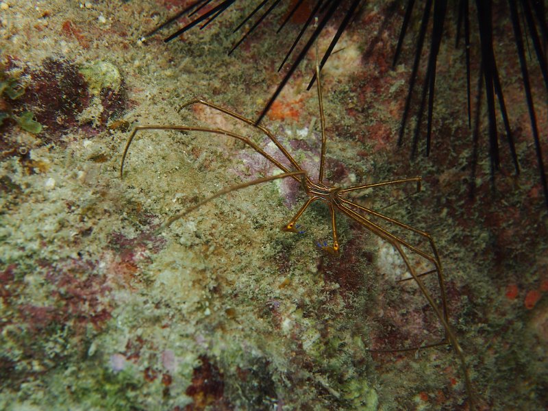 Curacao 04-12 077.JPG